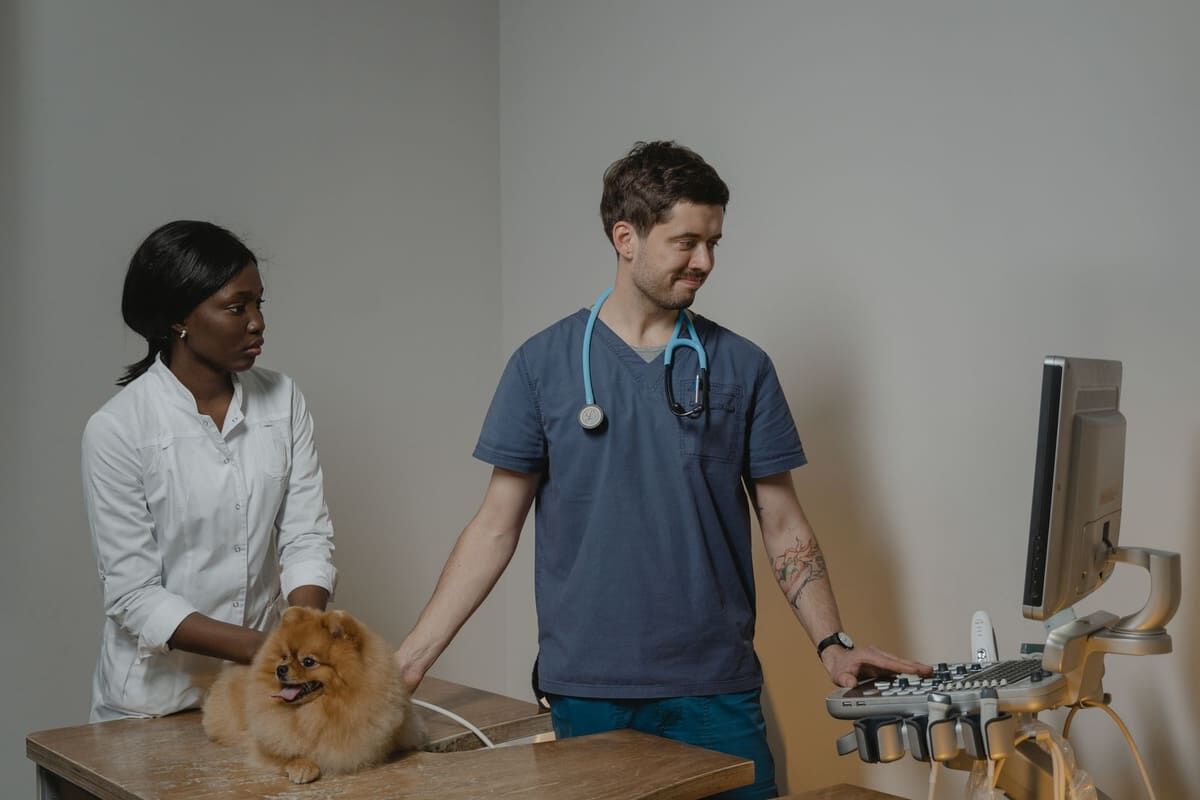 Desparasitación en perros y gatos